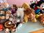 Immagine 3