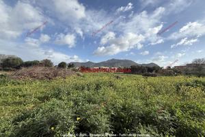 Terreno, Cruillas - San Giovanni Apostolo, Palermo
