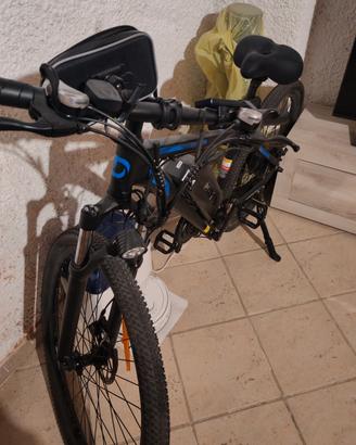 Bicicletta elettrica 