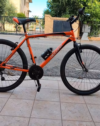mtb 26