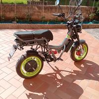 Garelli Ciclone Sport elettrico