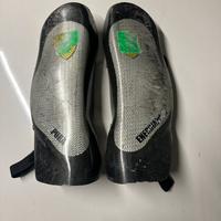 Parastinchi Energiapura Carbonio