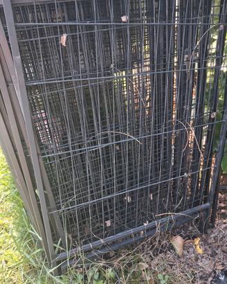 recinto cuccioli box gabbia