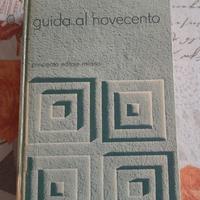 Guida al novecento.