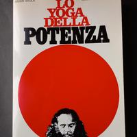 "Lo yoga della potenza" di Julius Evola 