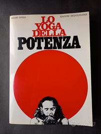 "Lo yoga della potenza" di Julius Evola 