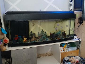  acquario 120 litri 