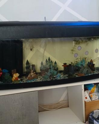  acquario 120 litri 