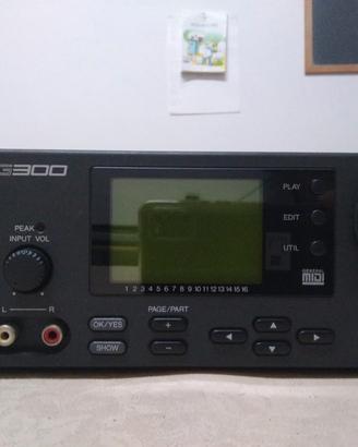 Expander Yamaha TG300