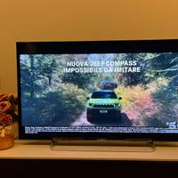 Sony Bravia