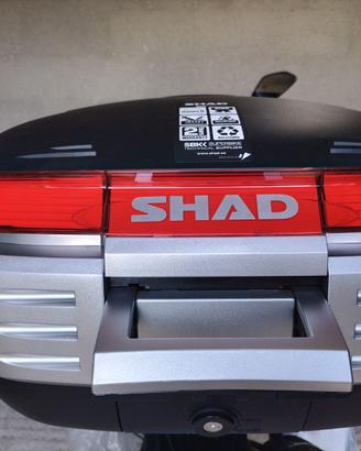Bauletto Shad 50 Litri
