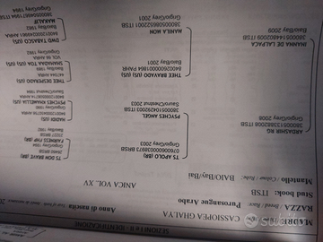 Purosangue Arabo stallone iscritto ANICA del 2018