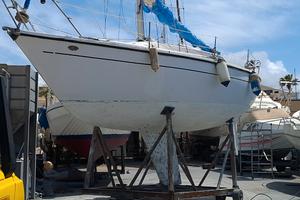 Barca vela comet 8.50