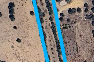 Terreno con 150 olivi e pozzo