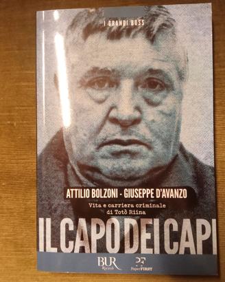 Il capo dei capi