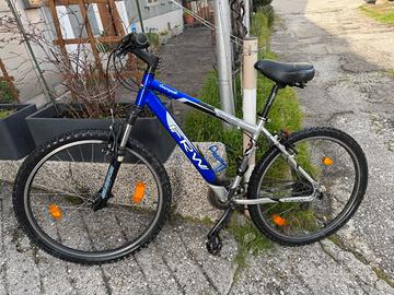 Mountain Bike Campagnolo Bromont FRW