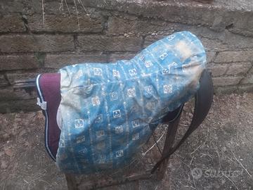 Sella Stubben Sigfried II