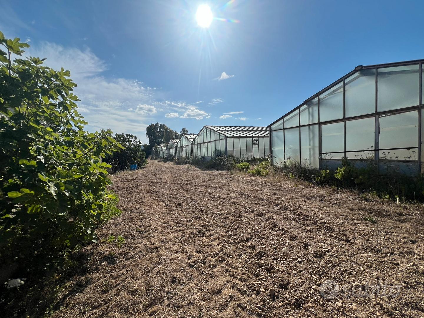 Azienda Agricola mq. 55.mila mq. Circa - Vista 2