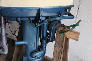 Motore fuoribirdo evinrude