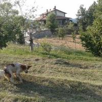Terreno edificabile residenziale a Sardigliano