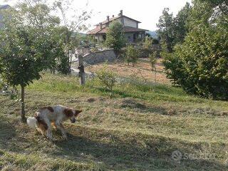 Terreno edificabile residenziale a Sardigliano