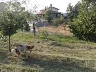 Terreno edificabile residenziale a Sardigliano