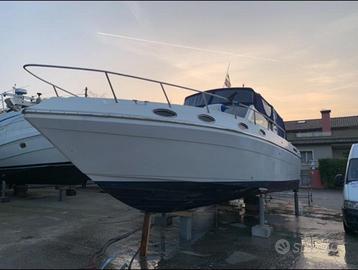 Piantoni onda blu 33