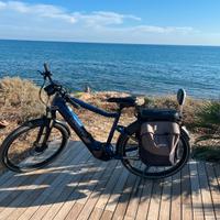 Ebike
