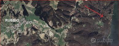 Bosco panoramico con radura e rudere