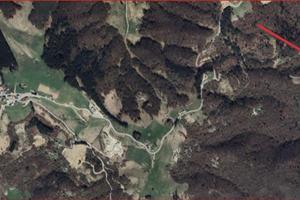 Bosco panoramico con radura e rudere