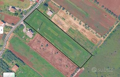 Terreno agricolo in Lanuvio