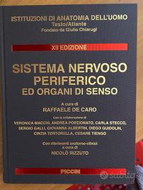 Chiarugi - Istituzioni di Anatomia dell'Uomo