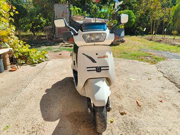 Peugeot sv 50 Roland Garros 