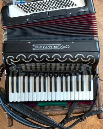 fisarmonica
