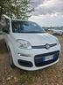 fiat-panda-1-2-easy