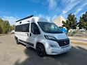ci-international-twist-v594-chausson