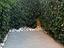 Immagine 15
