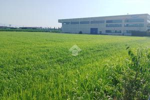 TERRENO A BAGNOLO MELLA