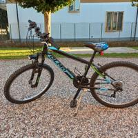 Mountain Bike Olmo 24"