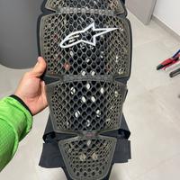 Paraschiena alpinestars