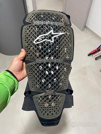 Paraschiena alpinestars