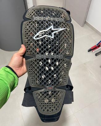 Paraschiena alpinestars