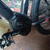 Bici elettrica