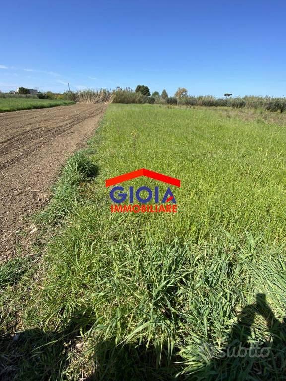 Terreno di 3333 m² a Sessa Aurunca - Vista 4