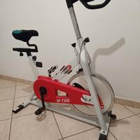 cyclette professionale 