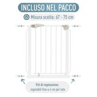 cancelletto di sicurezza