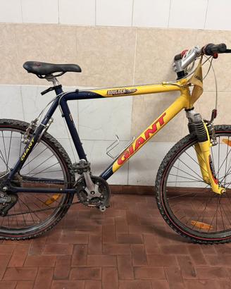 Mountain bike GIANT
