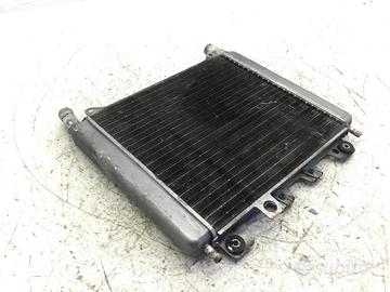 PIAGGIO X9 500 RADIATORE ACQUA LIQUIDO RAFFREDAMEN