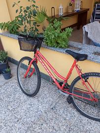 bicicletta per bimbo