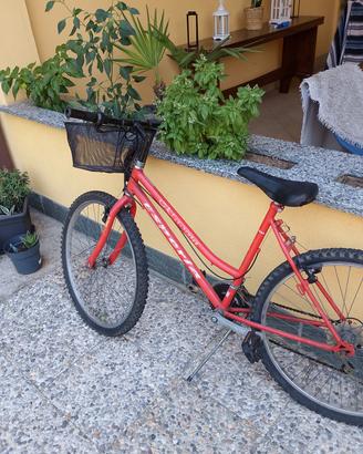 bicicletta per bimbo
